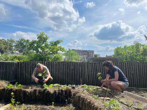 dakboeren planten in hooibalen