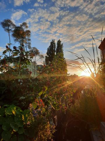 zonsondergang dak